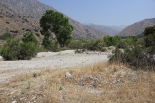 Enlarge photo 20