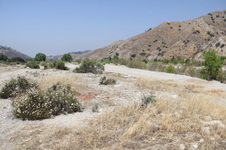 Enlarge photo 21