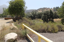 Enlarge photo 25