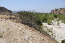 Enlarge photo 31