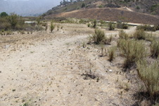 Enlarge photo 30