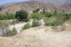 Enlarge photo 32