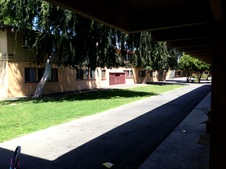 Enlarge photo 16