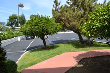 Enlarge photo 23