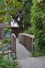 Enlarge photo 29