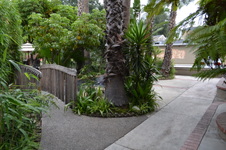 Enlarge photo 31