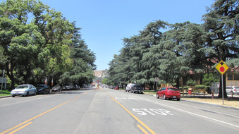 Enlarge photo 5