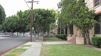 Enlarge photo 6