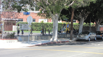 Enlarge photo 5