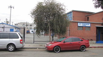 Enlarge photo 5