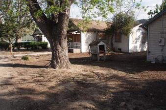Enlarge photo 30