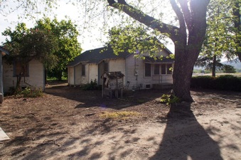 Enlarge photo 33