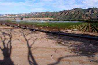 Enlarge photo 35