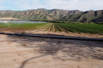 Enlarge photo 36