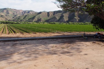 Enlarge photo 37