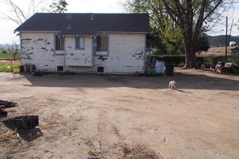 Enlarge photo 38