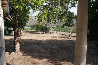 Enlarge photo 44