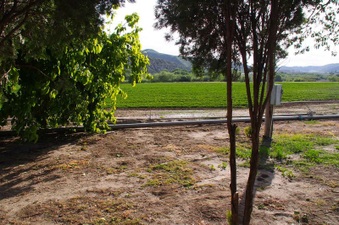 Enlarge photo 45