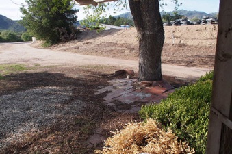 Enlarge photo 50