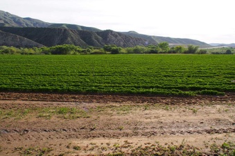 Enlarge photo 57
