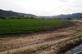 Enlarge photo 58
