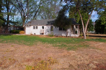 Enlarge photo 59