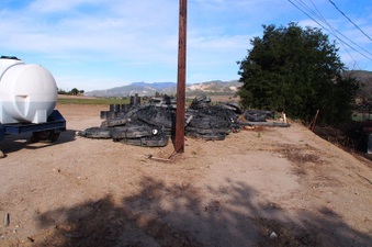 Enlarge photo 66