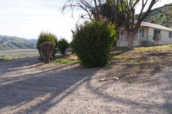 Enlarge photo 76