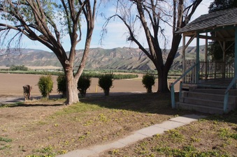 Enlarge photo 82