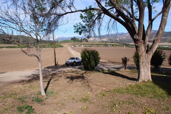Enlarge photo 83