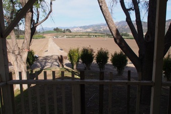 Enlarge photo 85