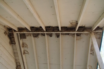 Enlarge photo 87