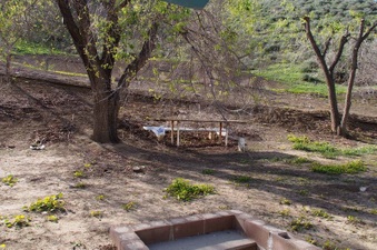 Enlarge photo 96