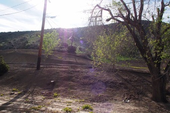 Enlarge photo 98