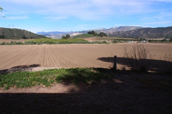 Enlarge photo 112