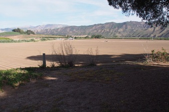 Enlarge photo 113