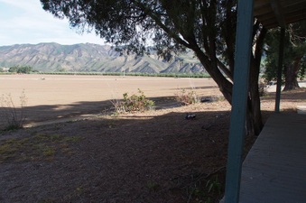 Enlarge photo 114