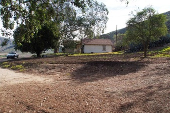 Enlarge photo 116