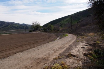 Enlarge photo 117