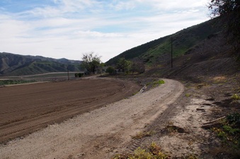 Enlarge photo 119