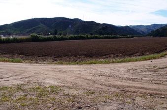 Enlarge photo 121