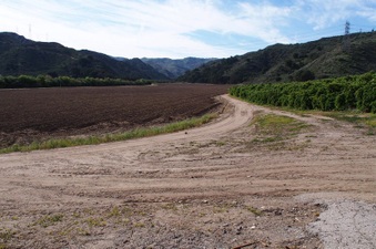 Enlarge photo 122