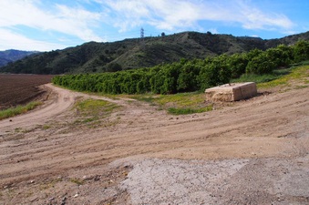 Enlarge photo 123