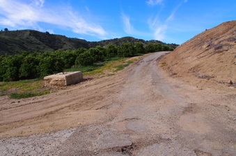 Enlarge photo 124