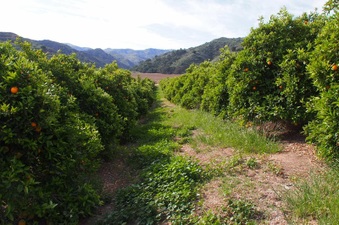 Enlarge photo 128