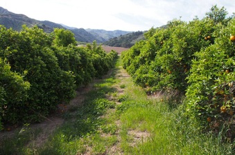 Enlarge photo 129