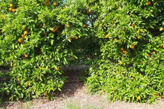 Enlarge photo 132