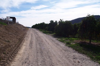 Enlarge photo 135