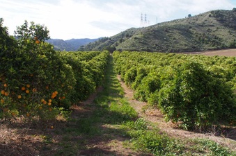 Enlarge photo 138