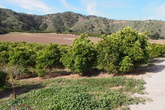 Enlarge photo 140
